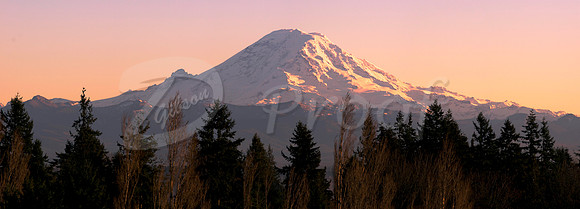 Mount Rainier Panorama