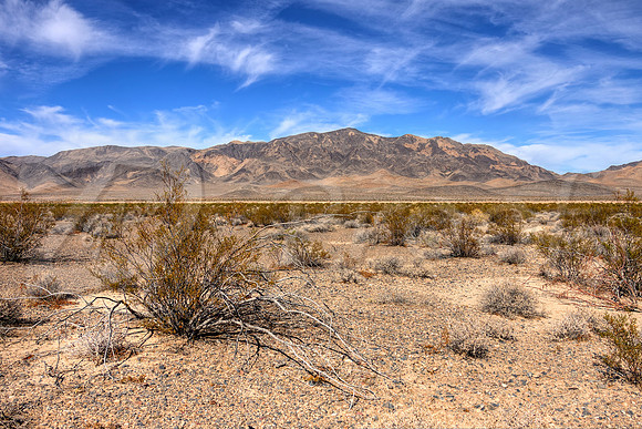Nevada Desert