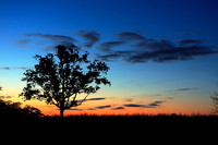Countryside Silhouette Sunset