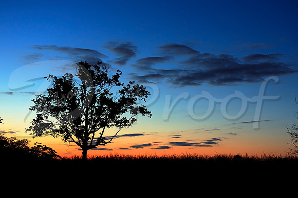 Countryside Silhouette Sunset
