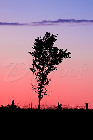 Countryside Silhouette Sunset 2
