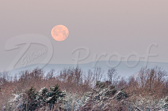 Winter Moonset