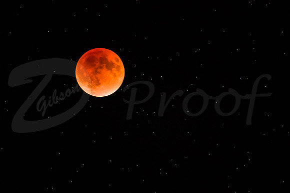 Lunar Eclipse Totality