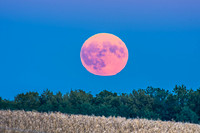 Harvest Moonrise