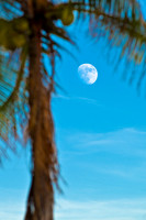 Evening Moonrise on the Beach