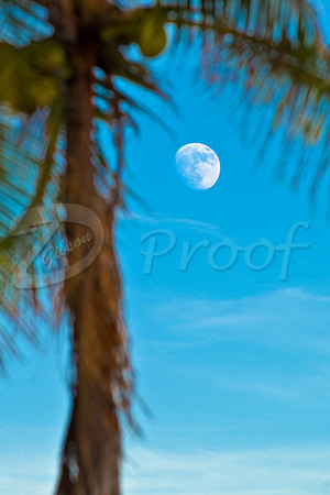 Evening Moonrise on the Beach