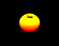 Chicago 737 Sunset