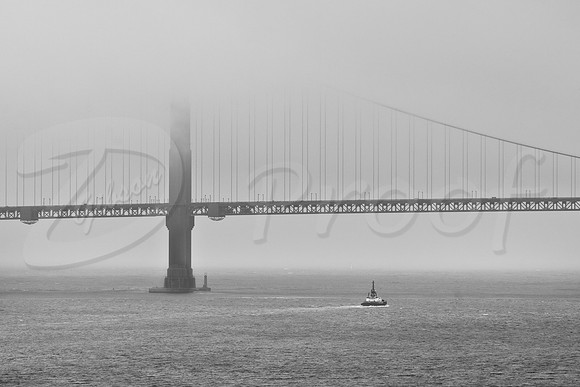 Golden Gate Fog 1
