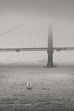 Golden Gate Fog 2