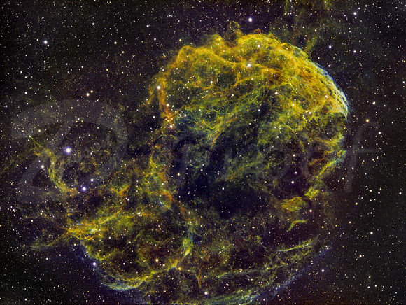 Jellyfish Nebula