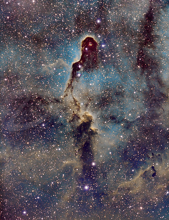 Elephant's Trunk Nebula