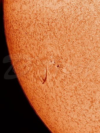 Sunspot June2020