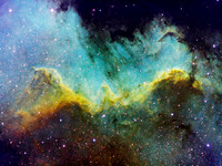 Cygnus Wall