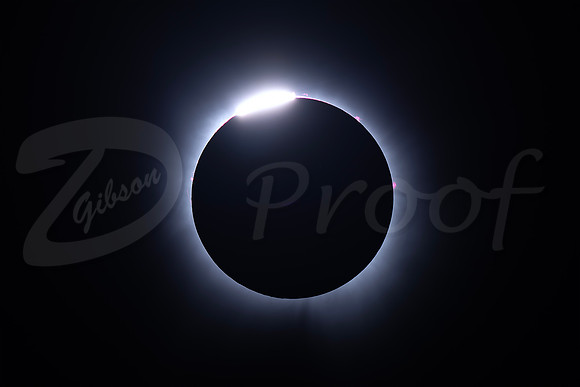 Eclipse 2024 Larger diamond ring