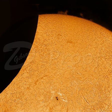 Eclipse 2024 top partial