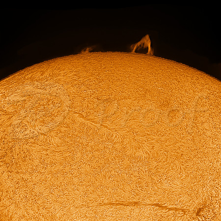 Large Solar Prominance
