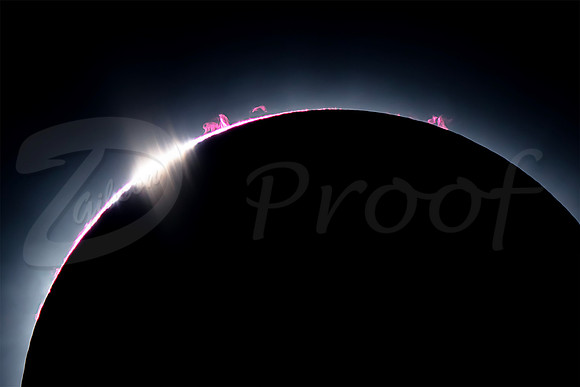 Eclipse 2024 Small diamond ring