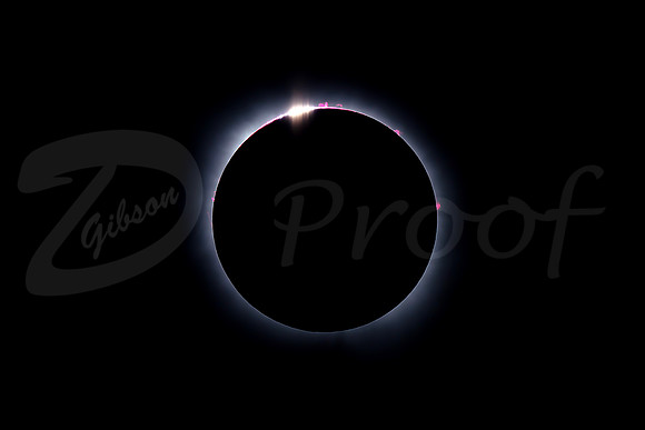 Eclipse 2024 Full circle diamond ring